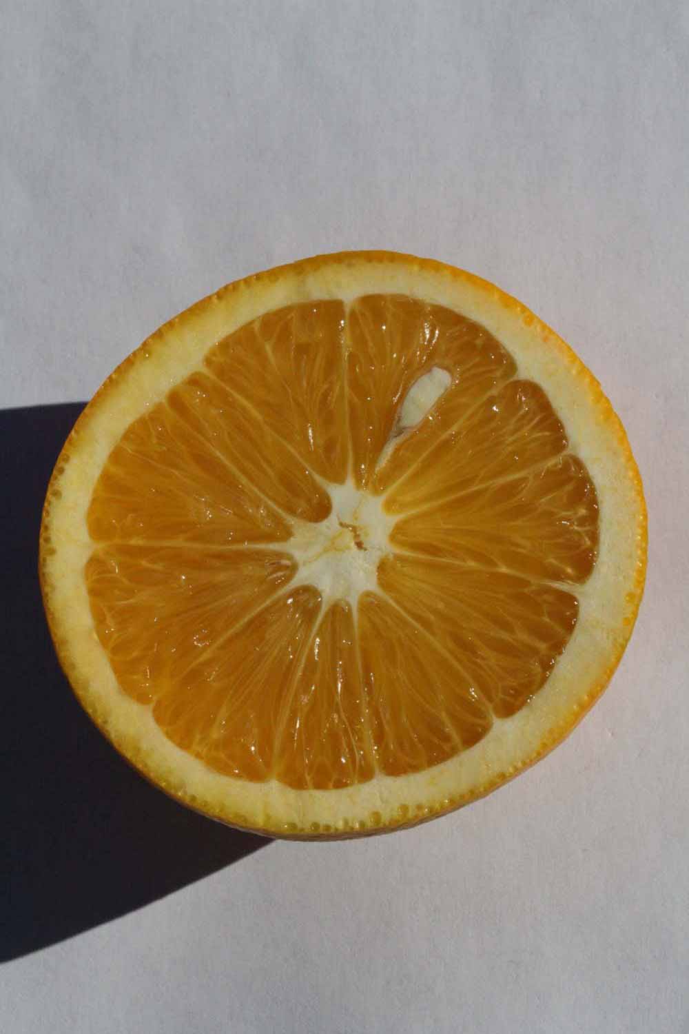            Fruit cross-section (Riverside, CA)   